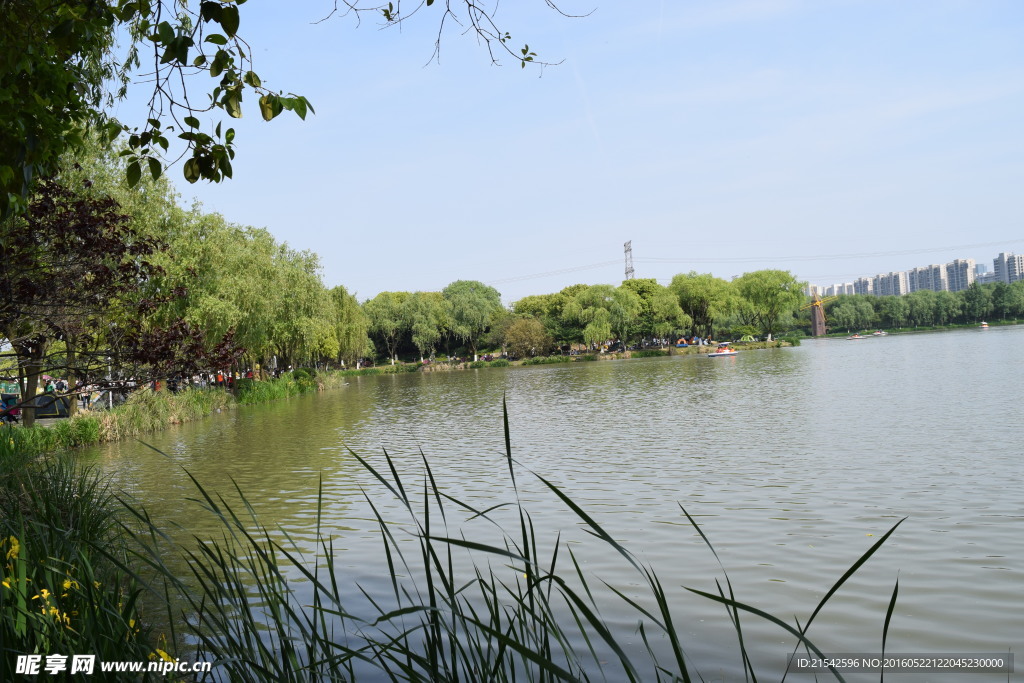 公園景色