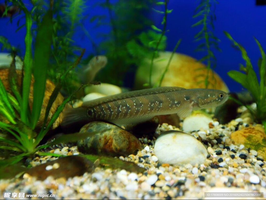 海洋水族館