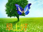 早上好