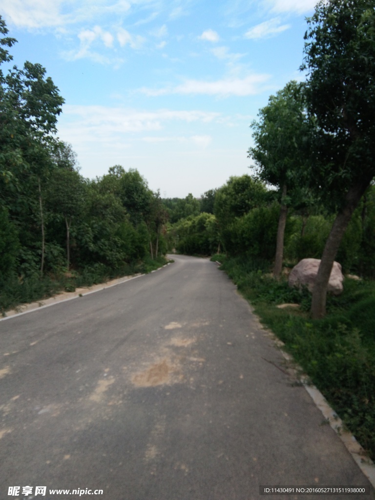 藍(lán)天 道路