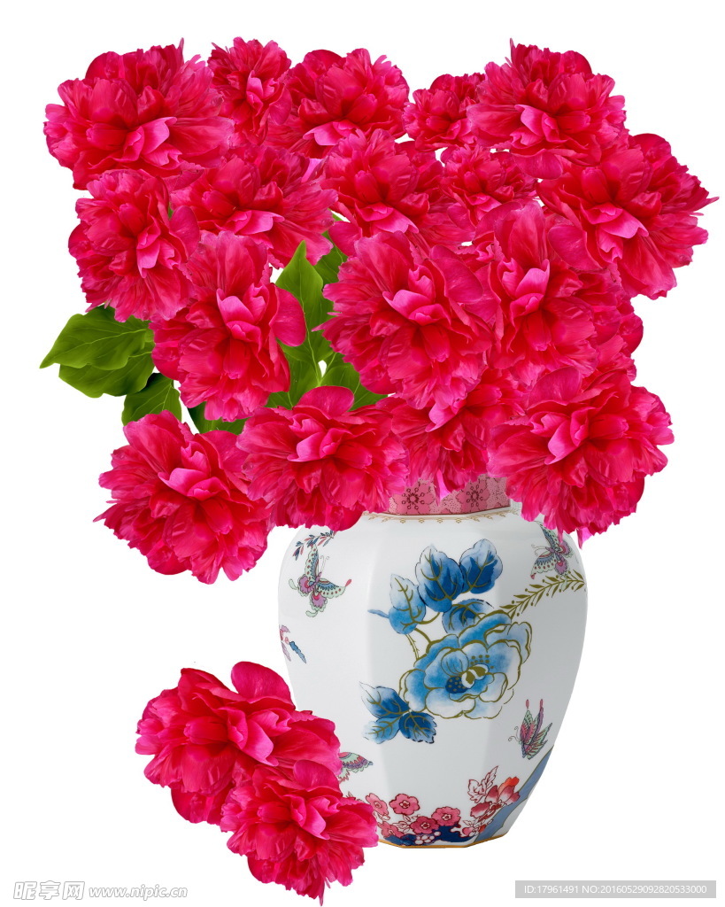 大紅花