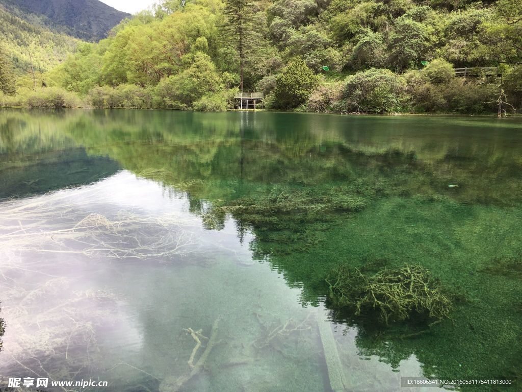 青山綠水