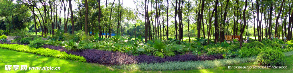 訾洲公園