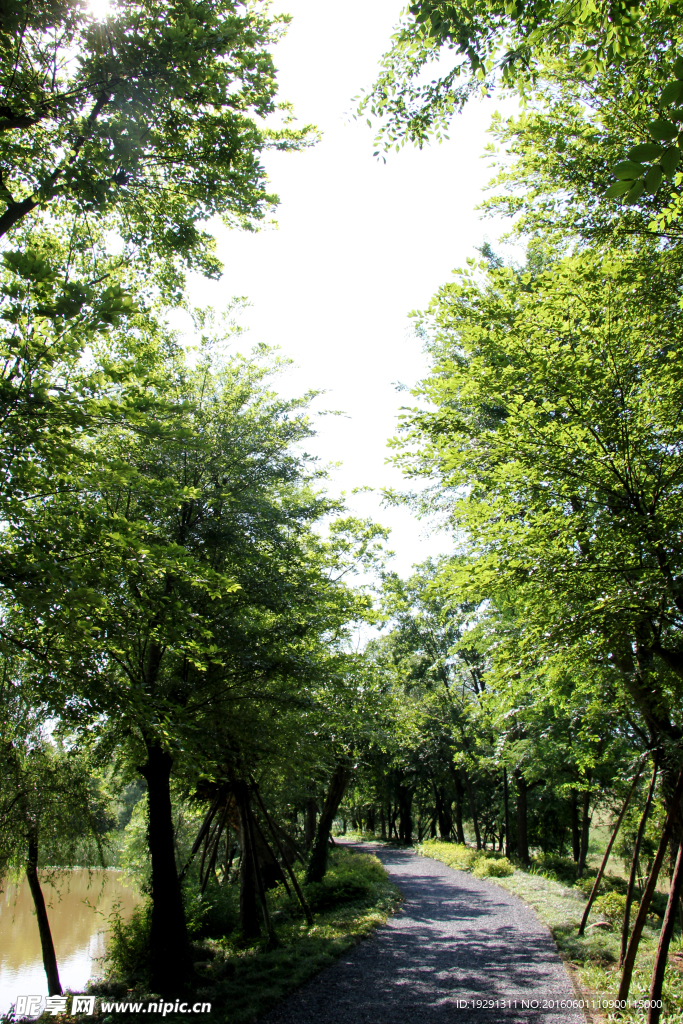 吉安螺湖灣濕地公園