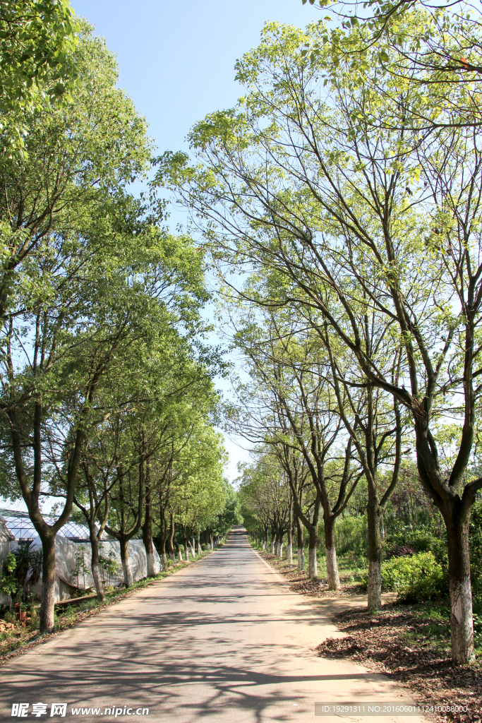吉安興橋園林