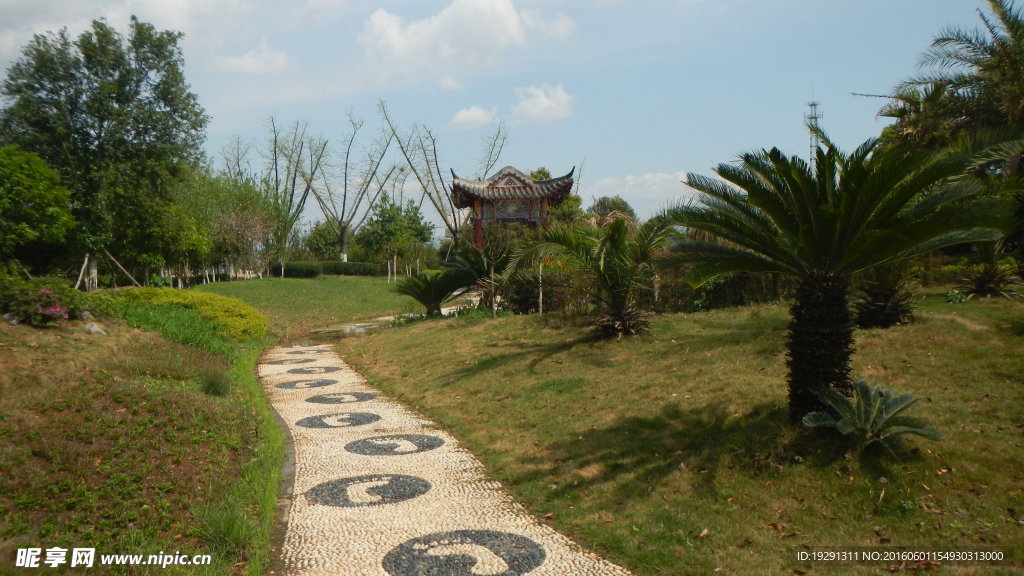 小道風景