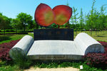 中国柿乡 园林雕像