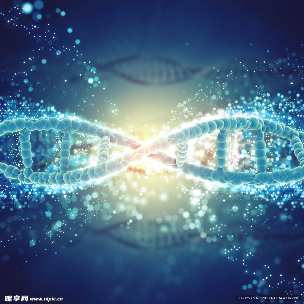 基因遺傳DNA