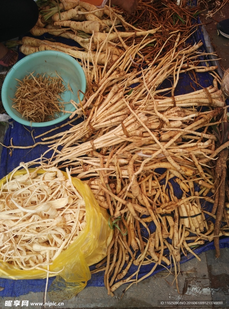 煮湯藥根