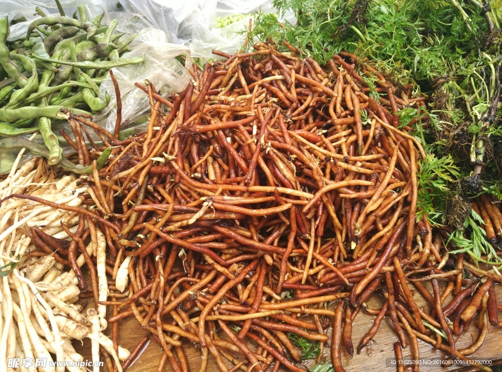 煮湯藥根