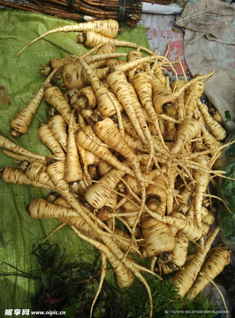 煮湯藥根