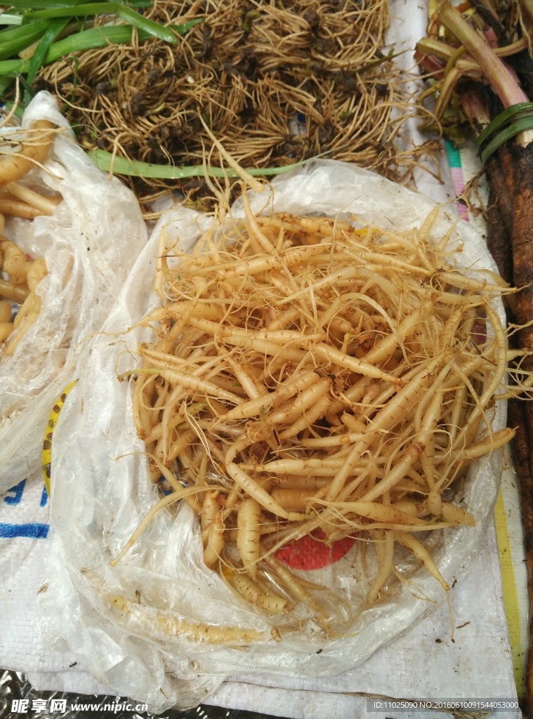 煮湯藥根
