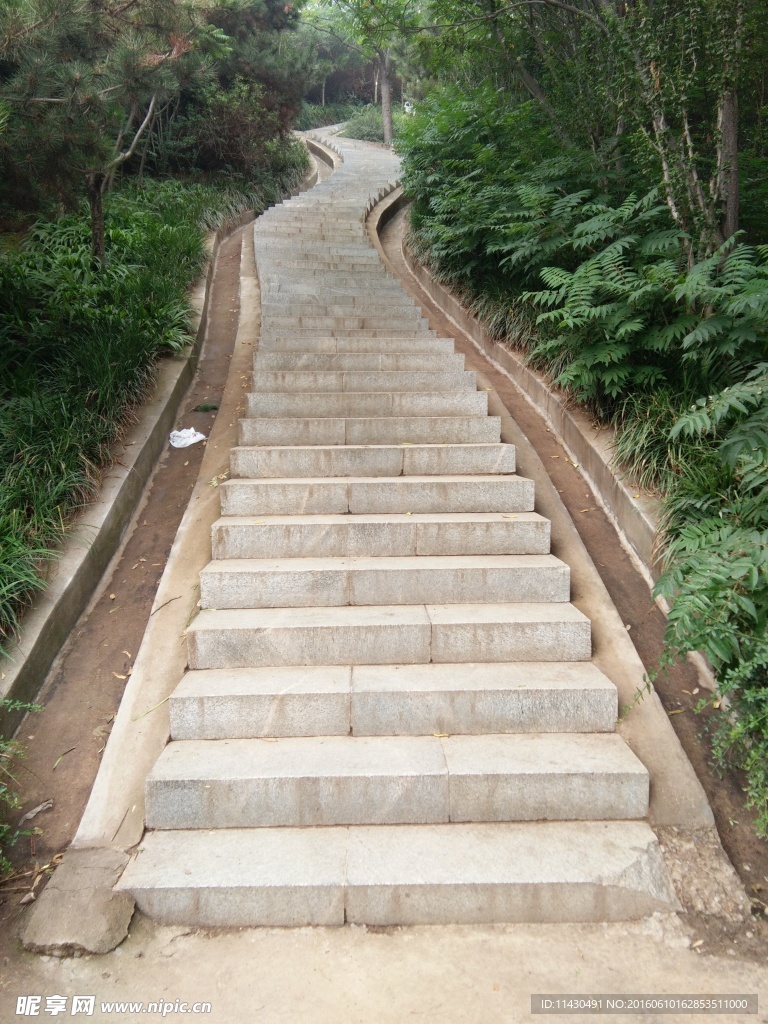 階梯 樓梯 綠樹(shù)