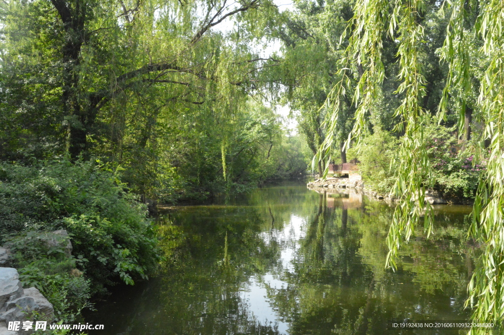 動物園風景