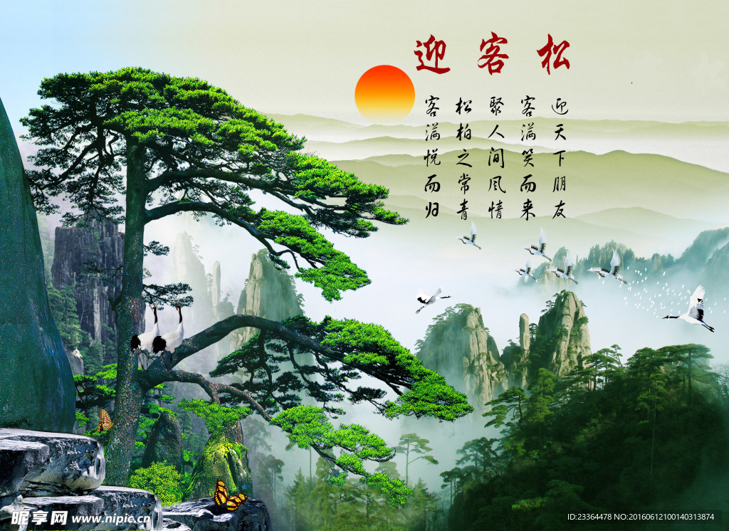 迎客松