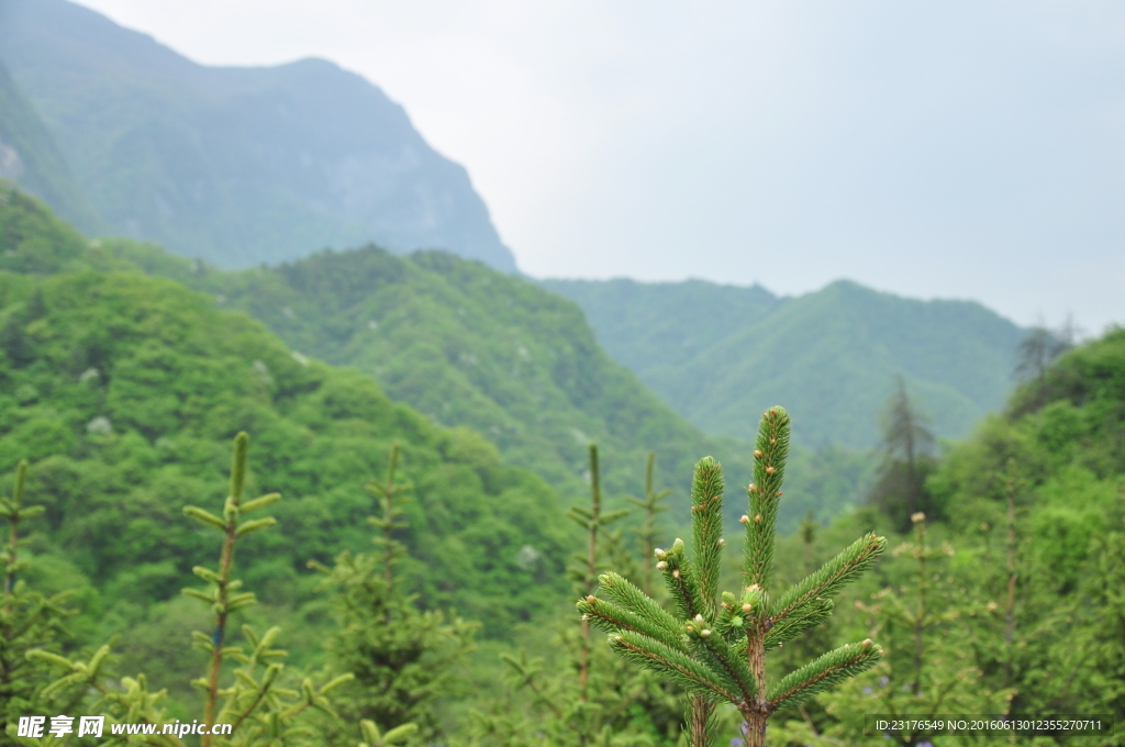 秦嶺山脈