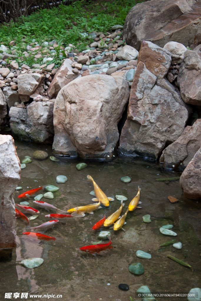 魚池