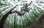 中華武術(shù)-功夫坊