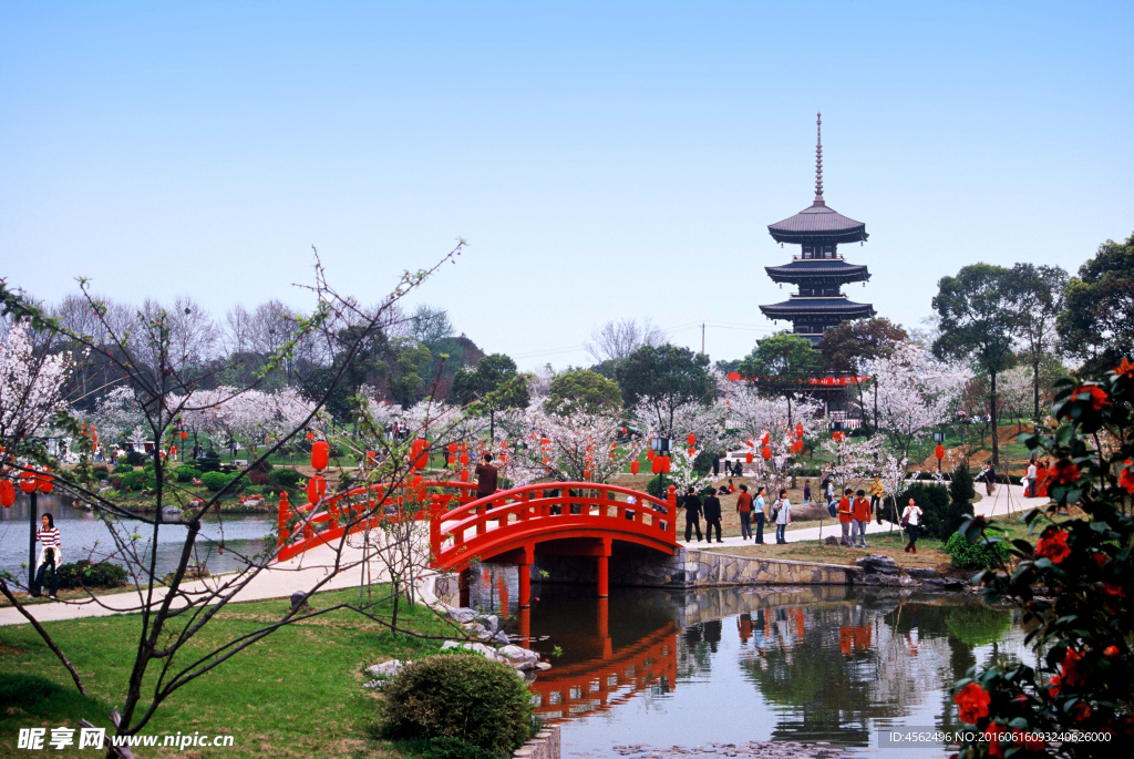 公園