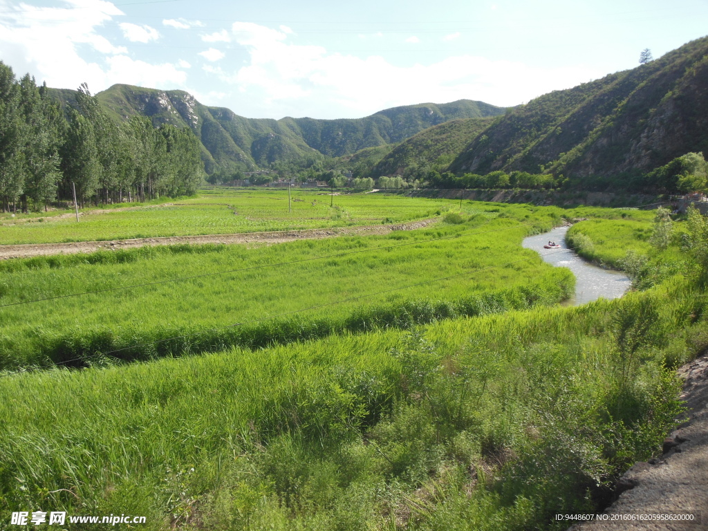 遠(yuǎn)山草地溪流