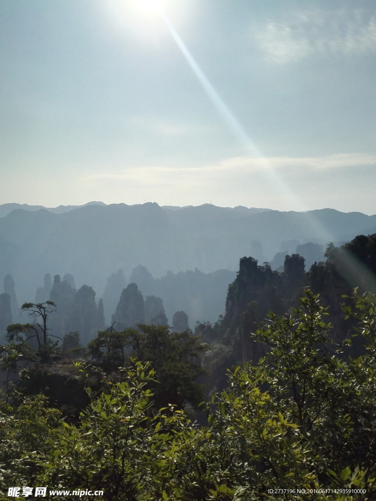 湖南張家界園林風景