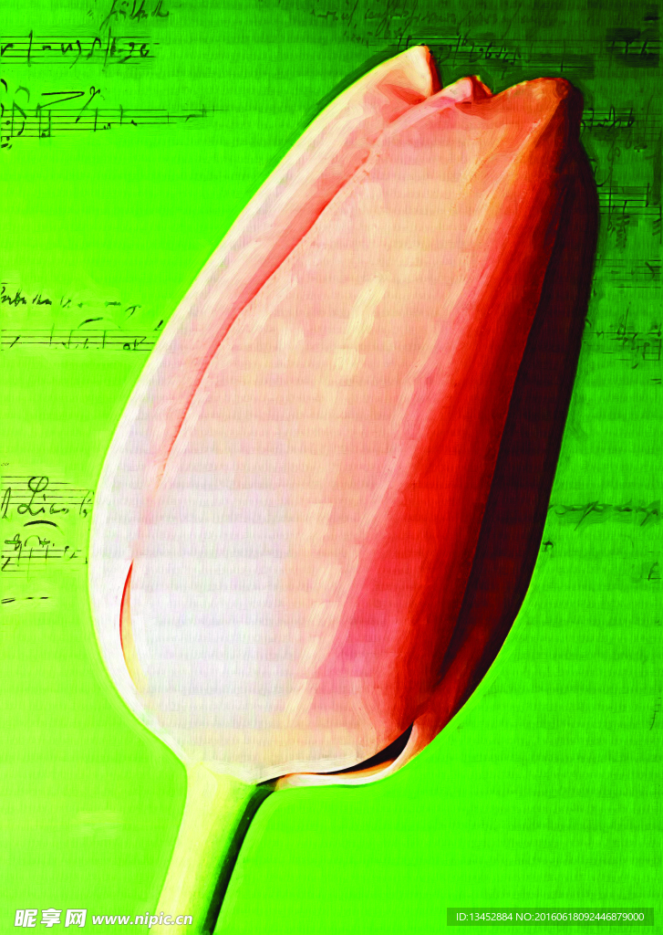 百合花