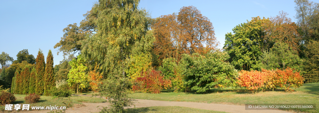 森林公園