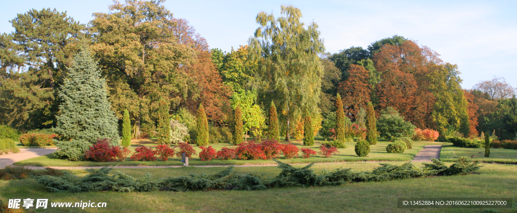國家森林公園