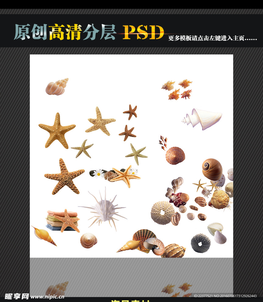 海星