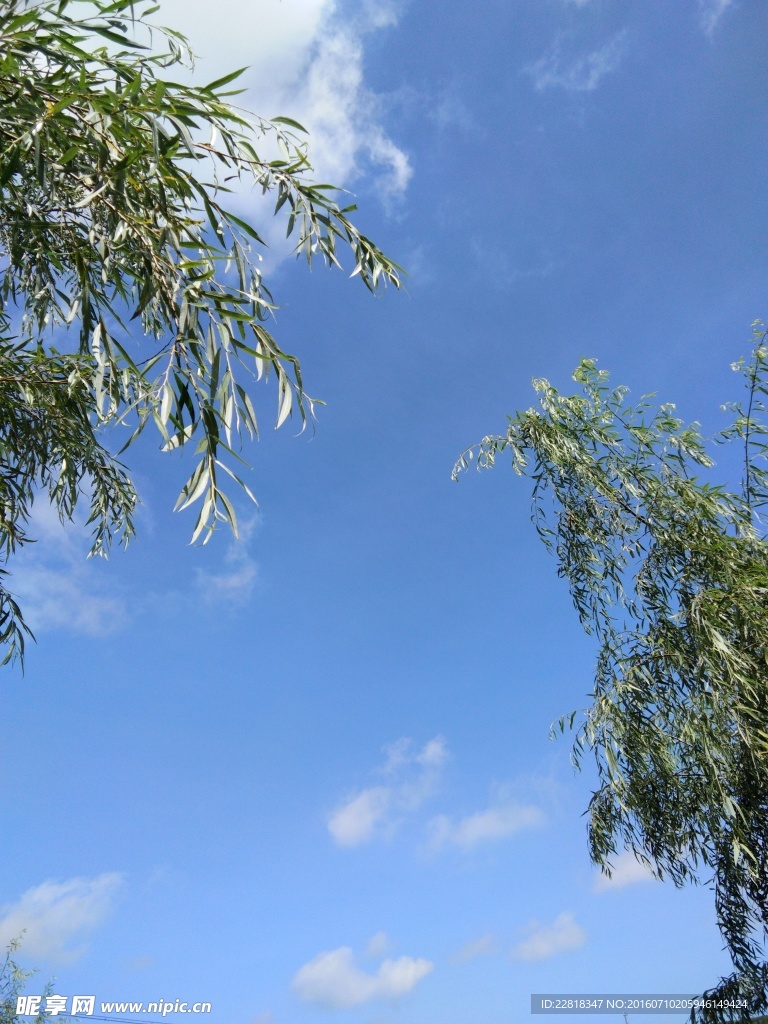 藍天