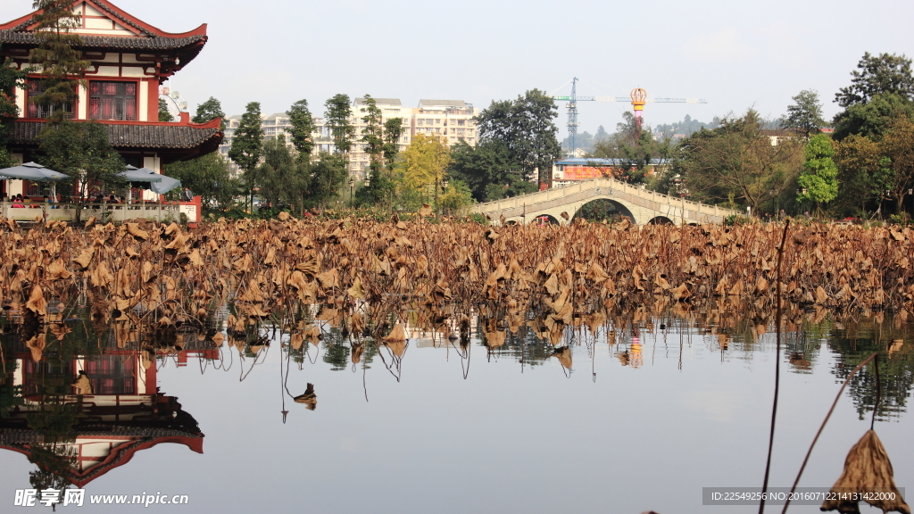 深秋公園