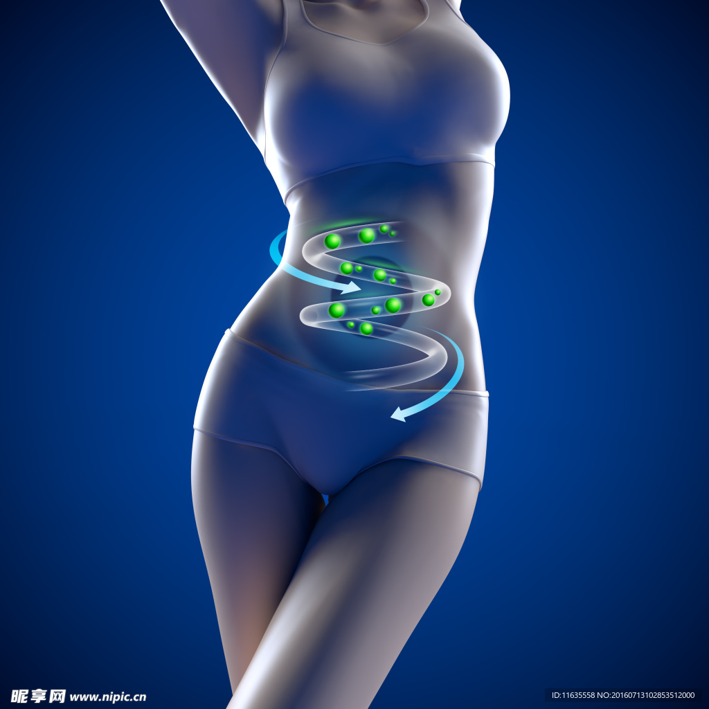 創意女性腸道減肥廣告