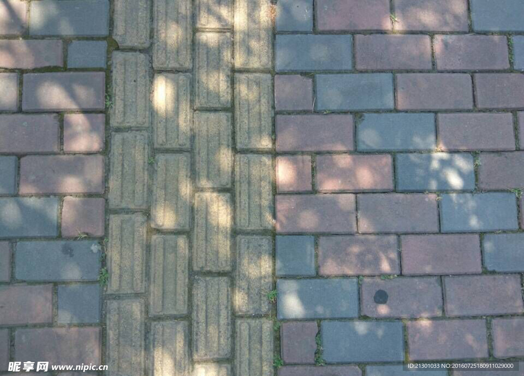 樹蔭下的地磚