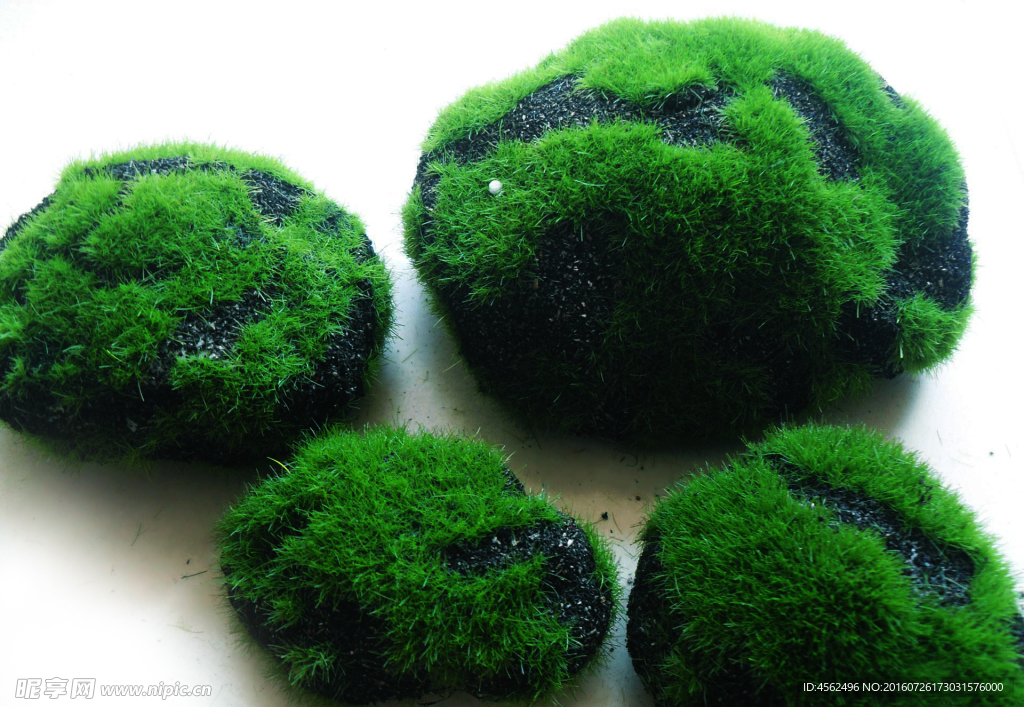 青苔石頭
