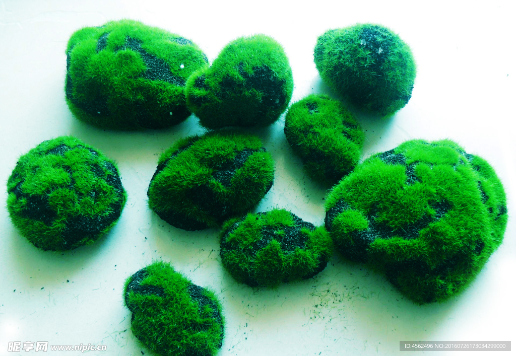 青苔石頭