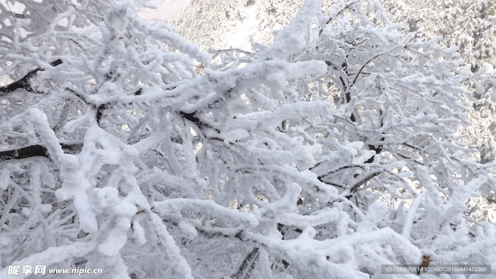 雞公山雪景