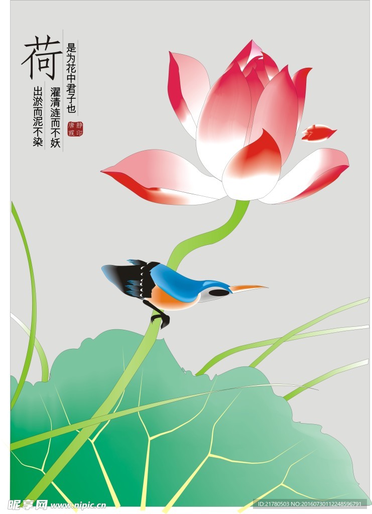 荷花