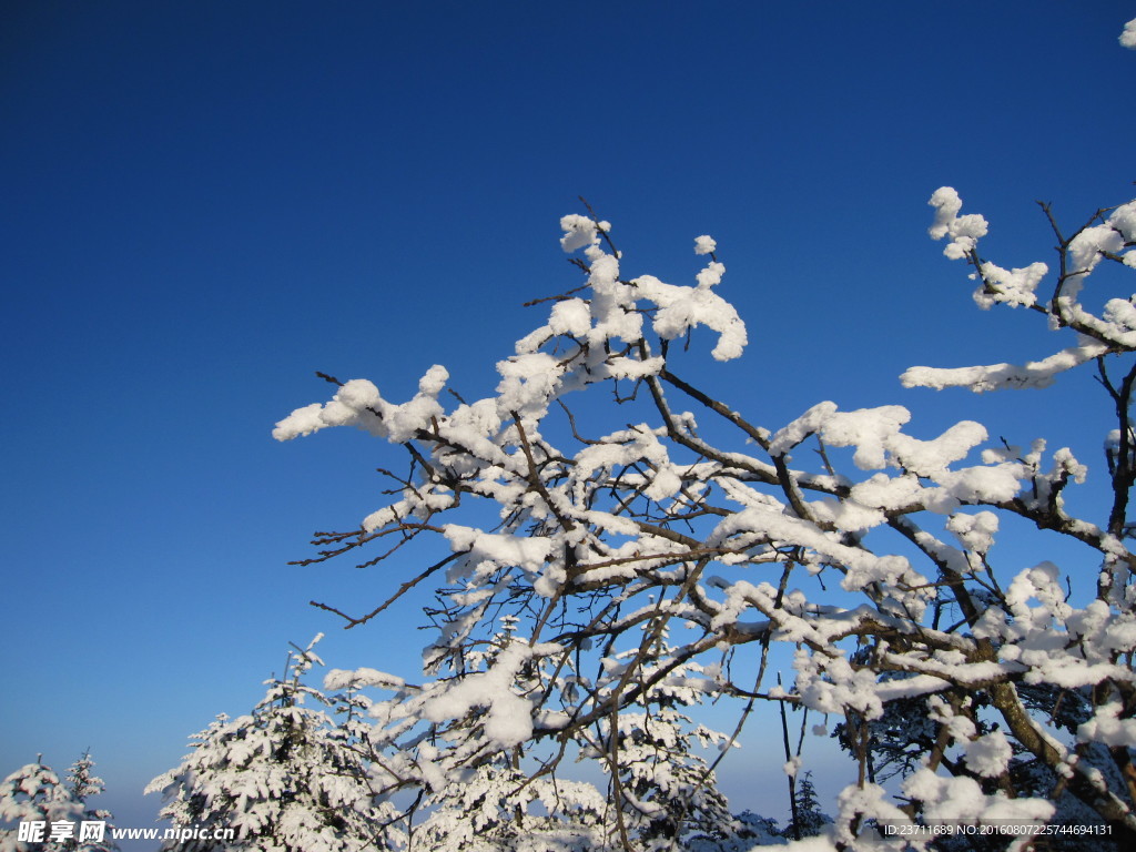 雪景