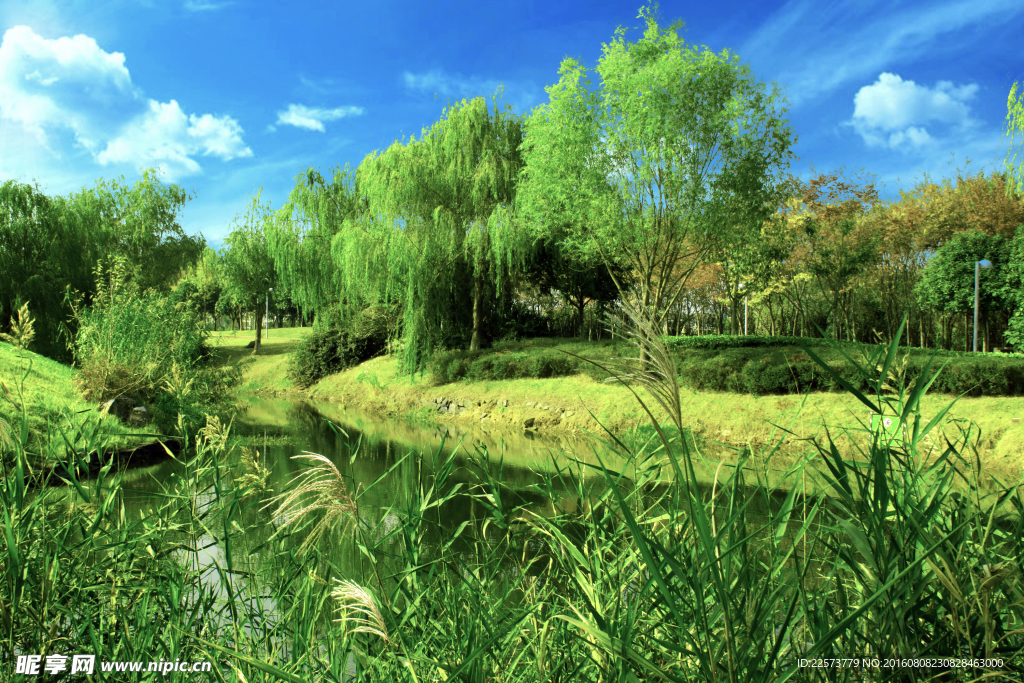 重口味風景