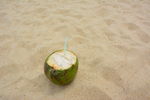 沙滩椰子