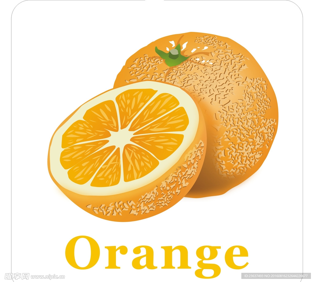 卡通水果 橙子加英文名称
