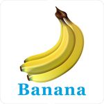 卡通水果 香蕉加英文名称