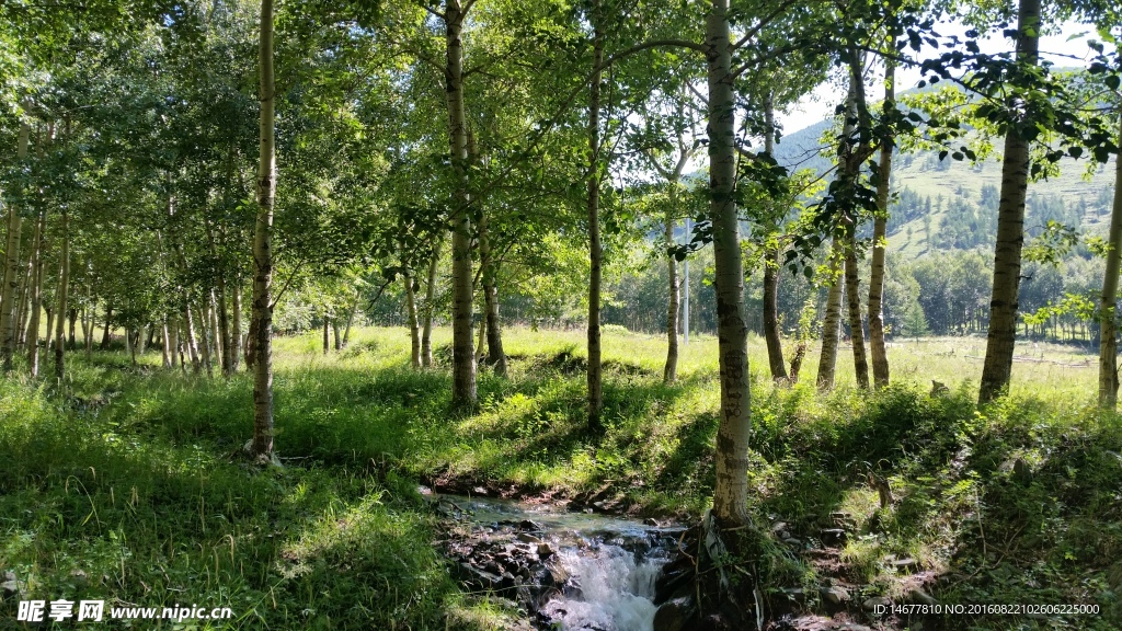 五臺山山腳