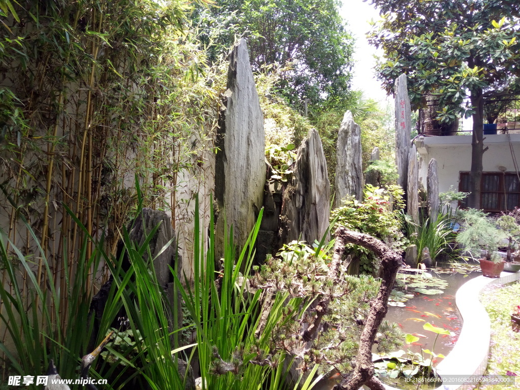 后庭小院
