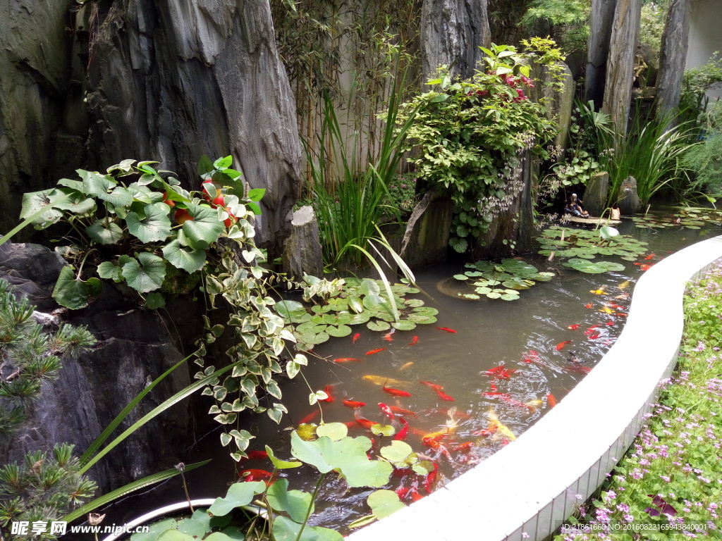 后庭小院