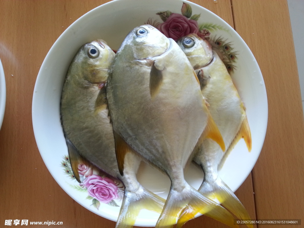 昌魚