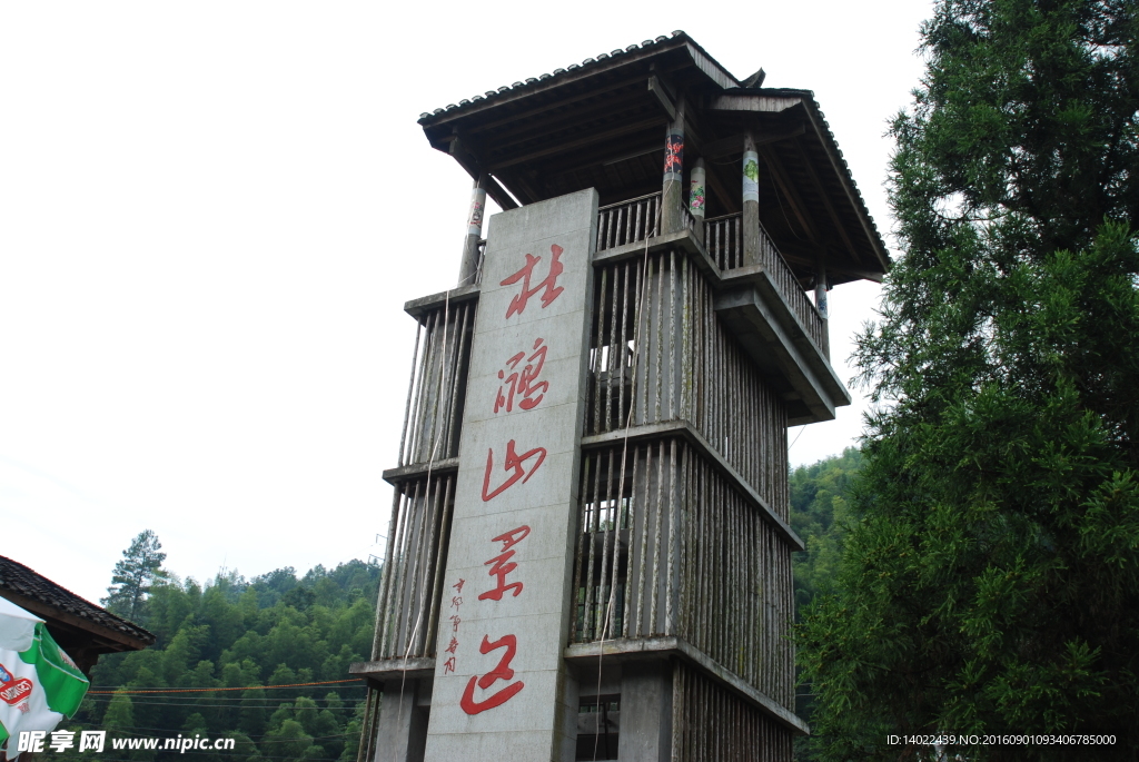 井岡山杜鵑山