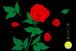 鼠绘玫瑰