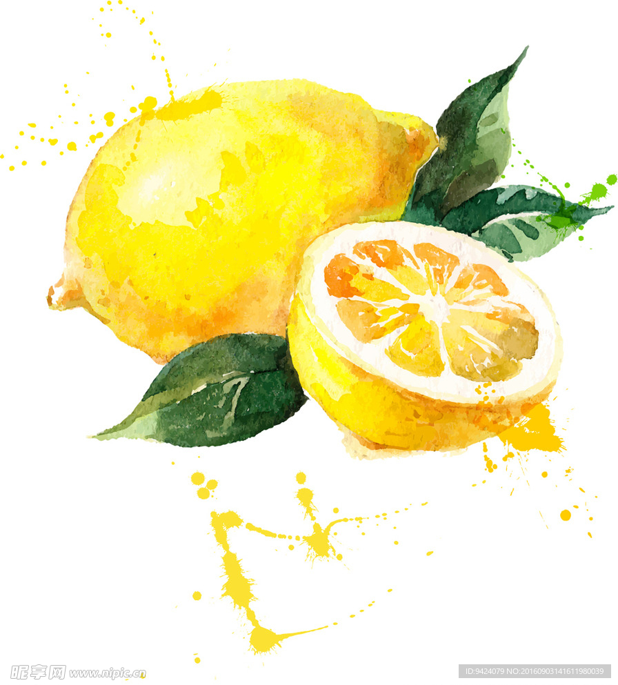 手绘矢量水果柠檬水彩插画绘画
