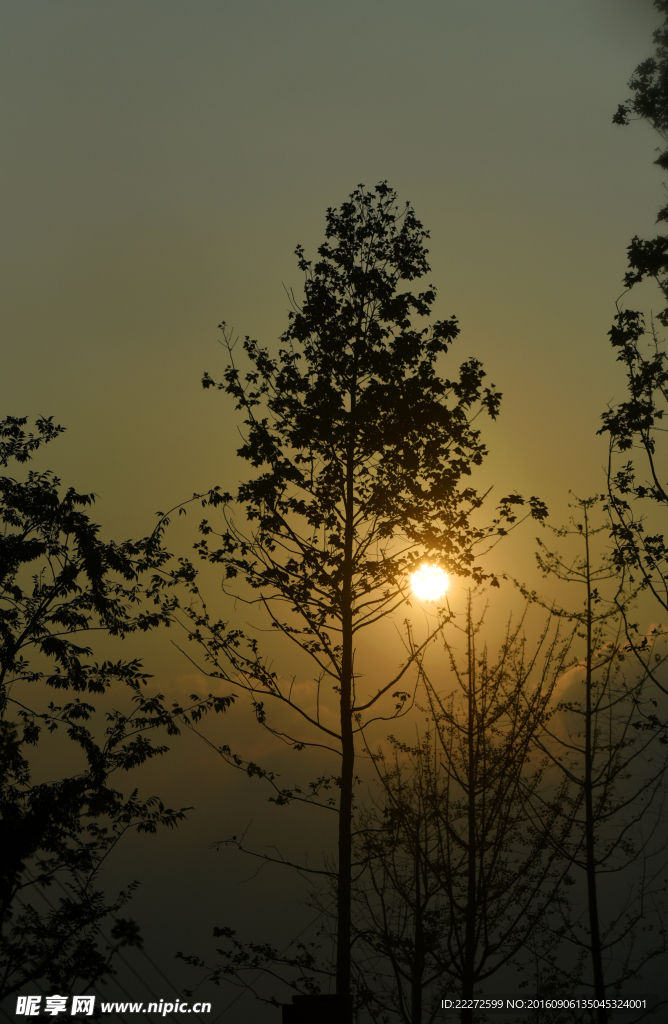 夕陽掛日